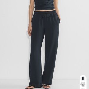 Aritzia Navy Thesis Pants
